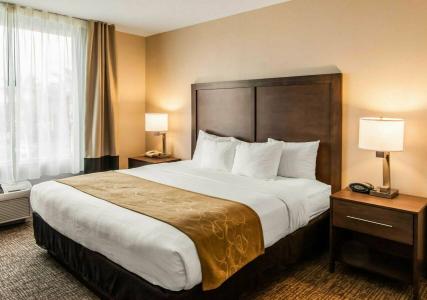 Comfort Suites Maingate East - 70