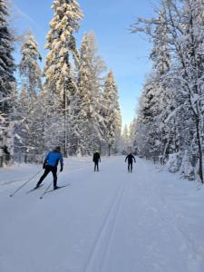 Park Grishkino Tourist base - 76