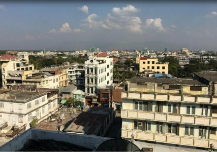 Royal Pearl - 6