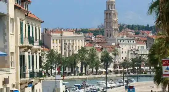 Guesthouse Villa Scalaria - 5