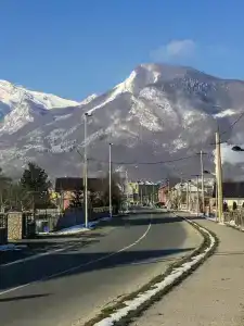 Rosi - 5