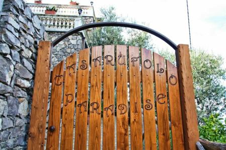 Casarufolo Paradise - 4