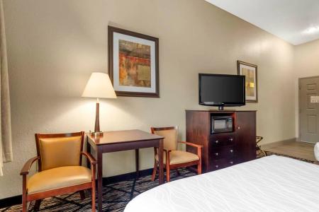Best Western Plus Hobby Airport Inn Suites - 10