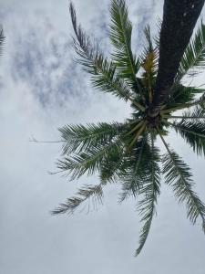 The May Phu Quoc - 23