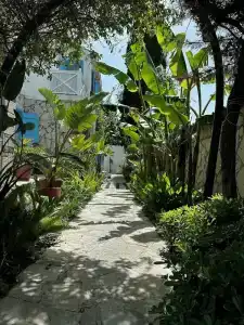 Ala Konak Alacati - 4