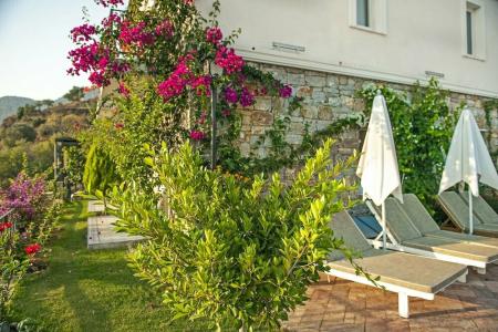 Swan Lake - Adult Only - 42