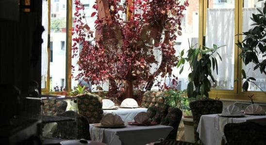 2 Kitarrat Spa Boutique-hotel - 9
