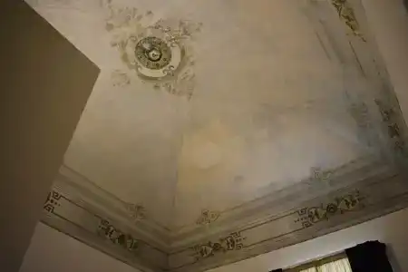 Gatto Bianco Duchessa - 5