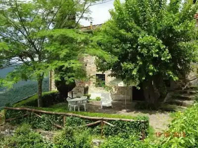 Fattoria Il Lago - 18