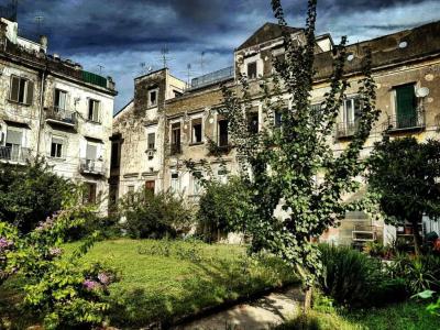 Il Giardino di Vico Neve - 0