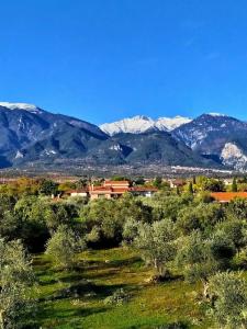 Litohoro Olympus Resort Villas & Spa - 28