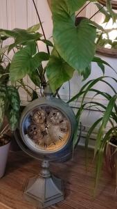 Garden - 47