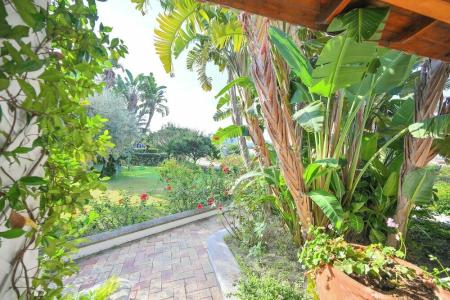 Residence San Domenico - 31