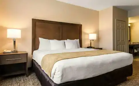 Comfort Suites Maingate East - 1