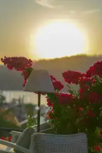 Unique-Boutique Class - Adults Only - 24