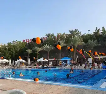 Falcon Naama Star - 25