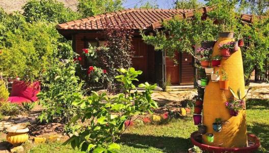 Koala Bungalows - 10