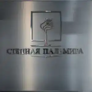 Stepnaya Palmira - 30