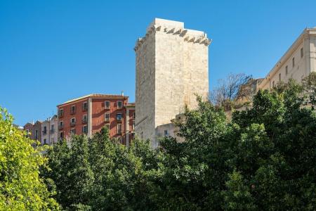 Dome - 30