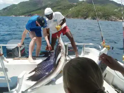 Romance Bungalows - 12