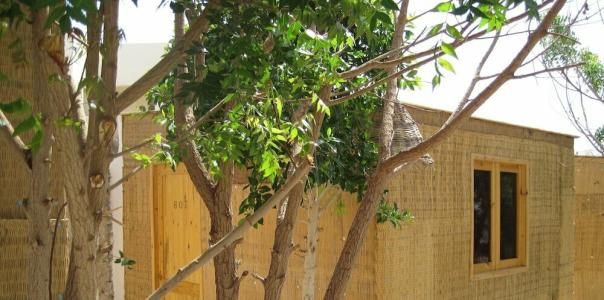 Umbi Sharks Bay Diving Village - 28