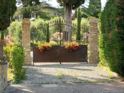 Rocca degli Olivi - 22
