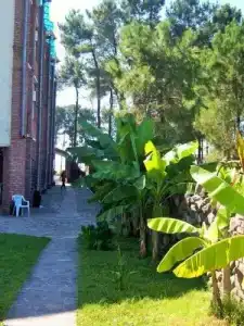Old House - 27