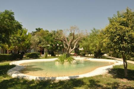 Villaggio Borgo degli Ulivi - 2