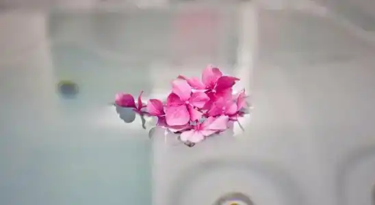 Wellness & Spa Acd - 22