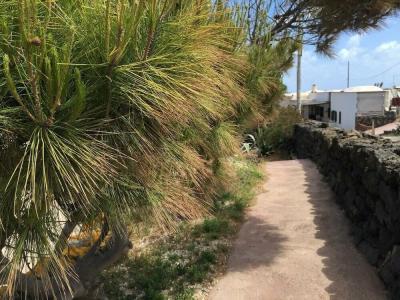 I Dammusini di Pantelleria - 36