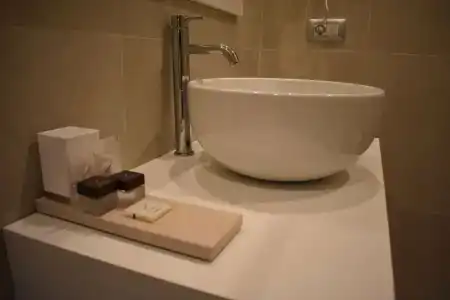 Gatto Bianco Duchessa - 7