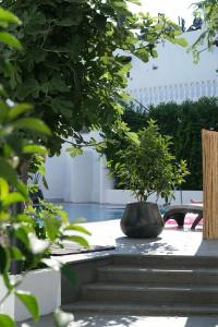 Manuela Boutique - 24