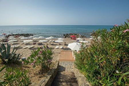 Alberi Del Paradiso - 43