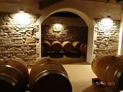 Fattoria Il Lago - 25