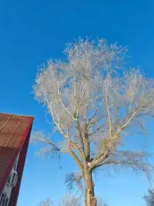 Seventh Heaven Tourist base - 41