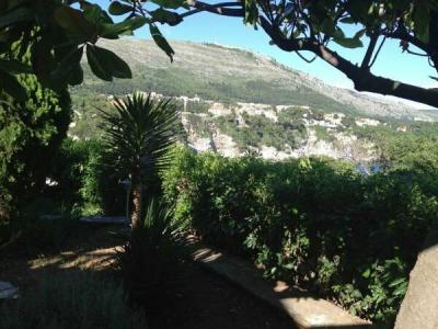 Guest House Steel - 20