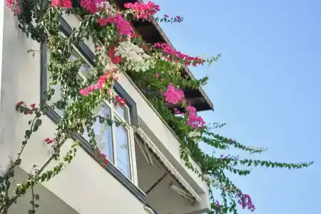 Kaya Apart Datca - 24