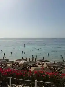 Sentido Reef Oasis Aqua Park Resort - 4