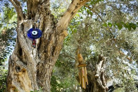 Club Datca Holiday Village - 38