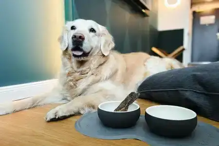 Munich Marriott - 47