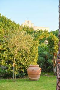 Residence San Domenico - 14