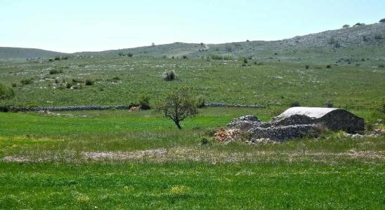Yria - 6