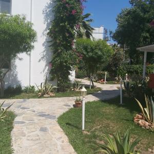 Canna Garden - Adults Only - 19