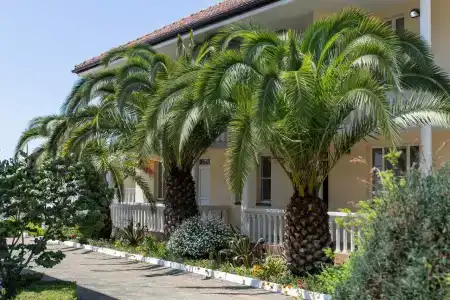 Baza Otdykha Adler - 1