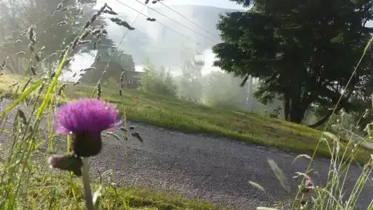 Penzion Alenka - 21