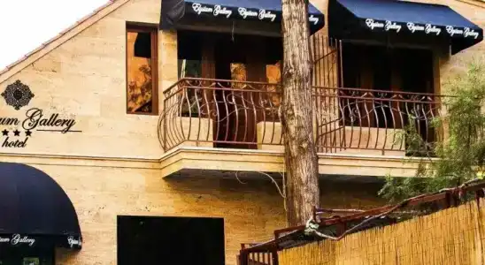 Elysium Gallery - 20