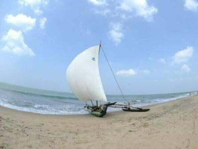 Golden Star Beach - 28