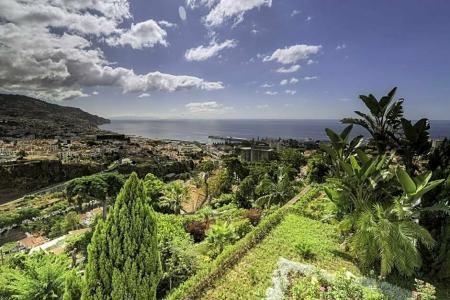 Quinta Funchal Gardens – Adults Only - 13