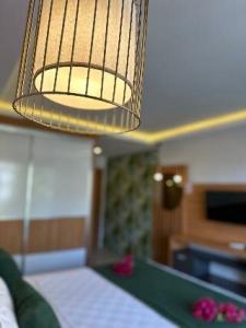 Mogons Exclusive - 16