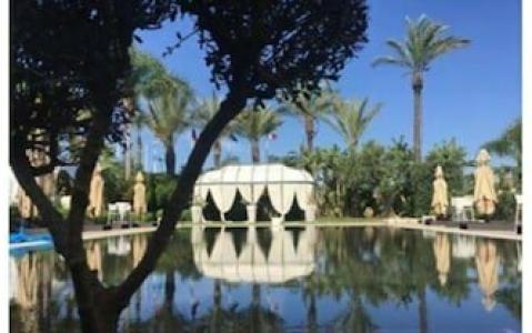 Visir Resort & Spa - 7
